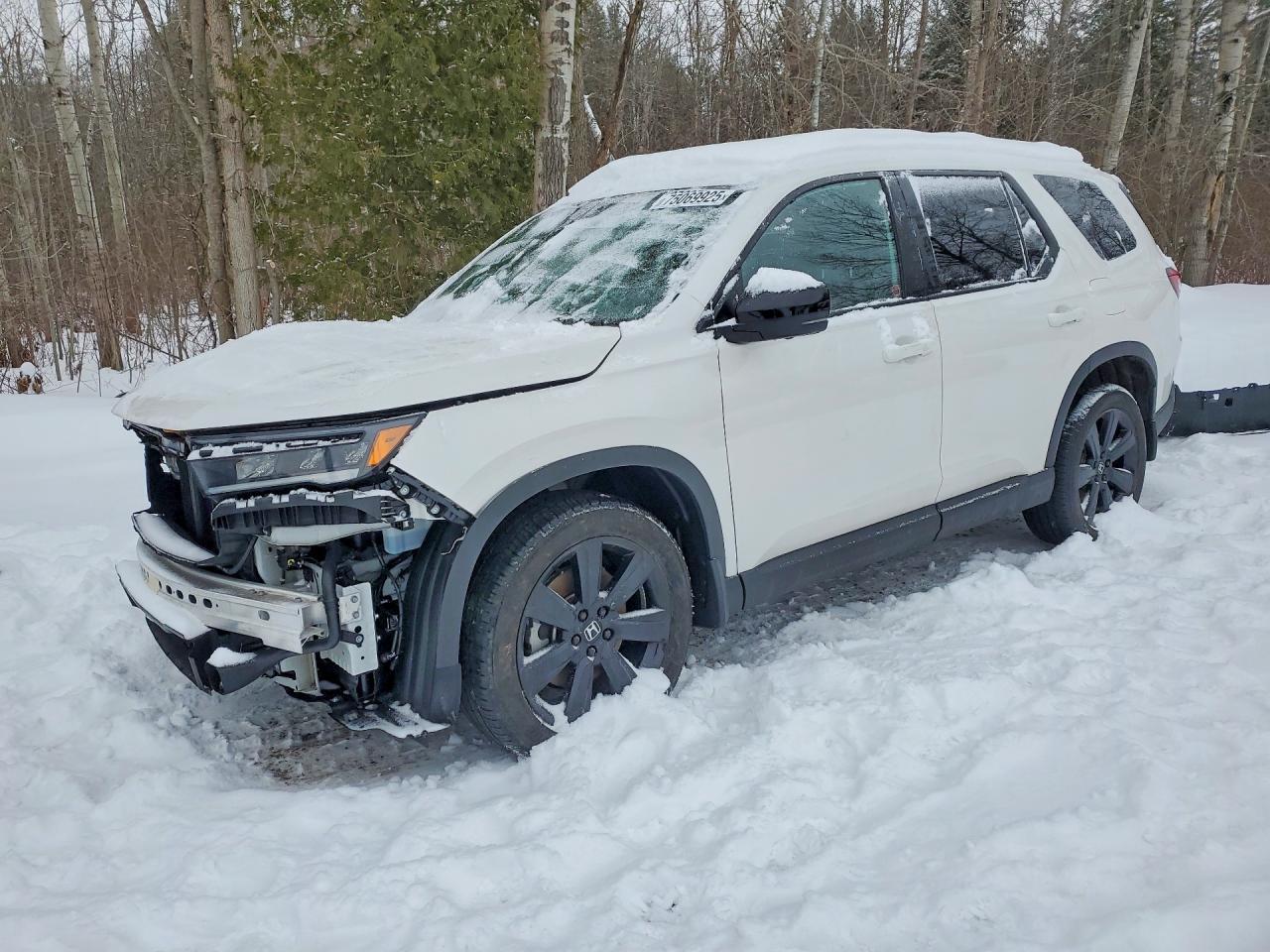 2025 Honda Pilot Black