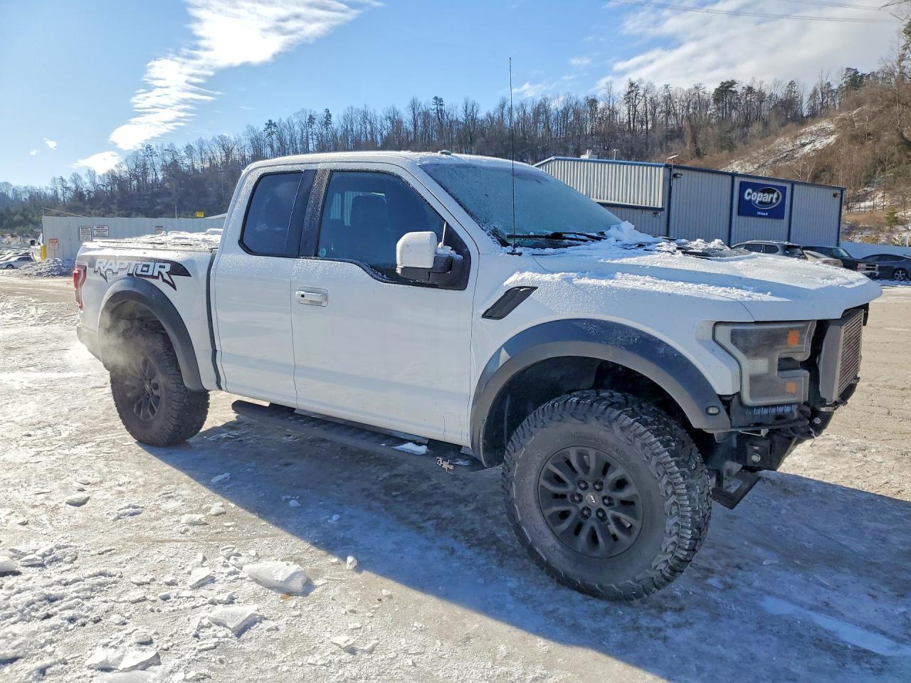 2017 Ford F150 Raptor - Image 4