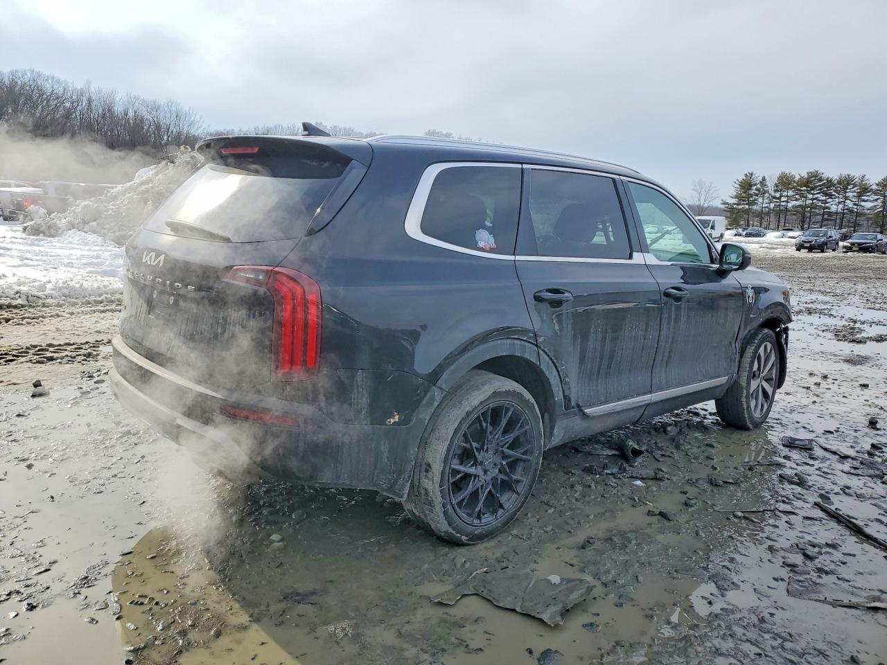 2022 Kia Telluride Ex - Image 3