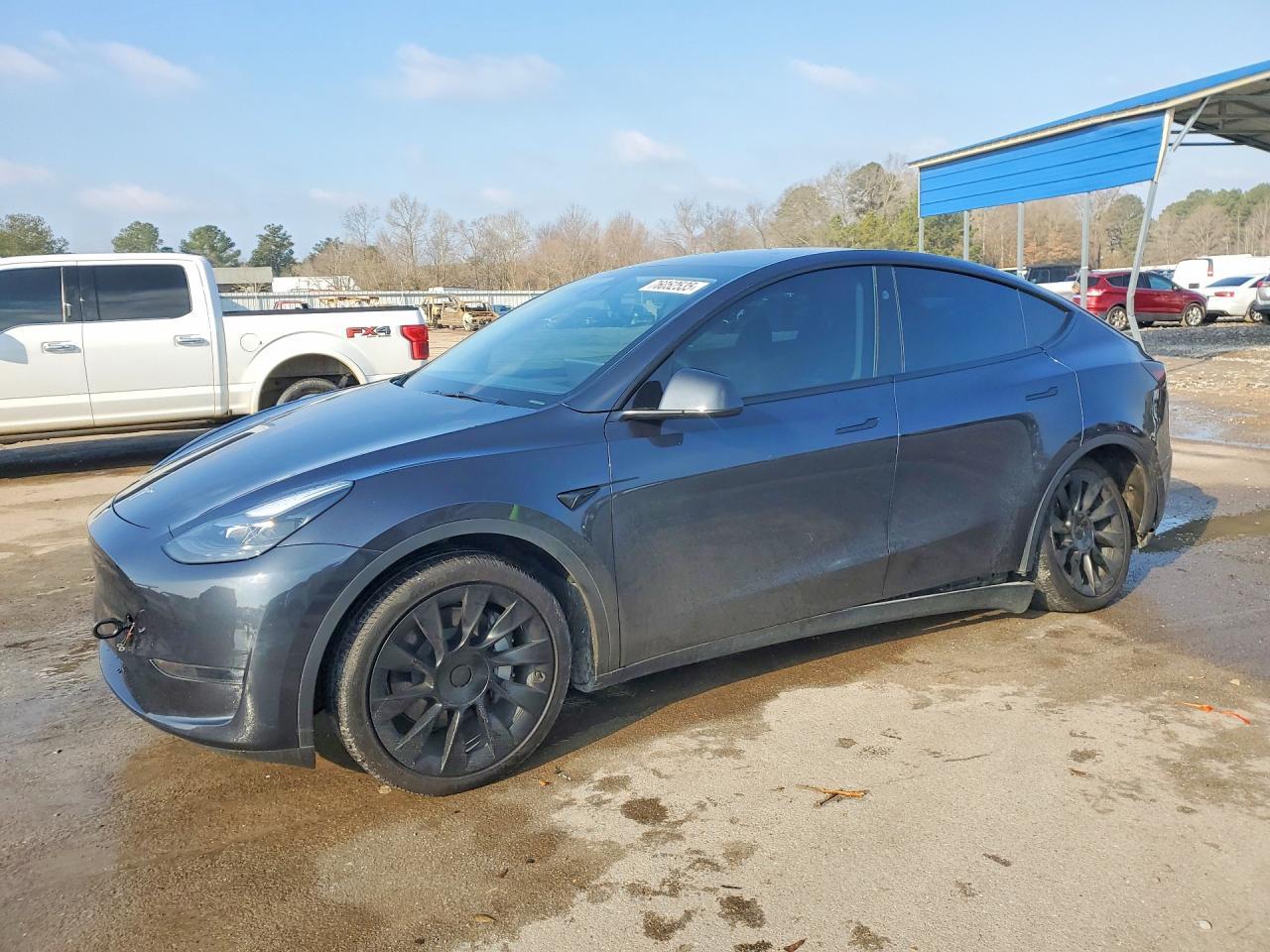 2024 Tesla Model Y