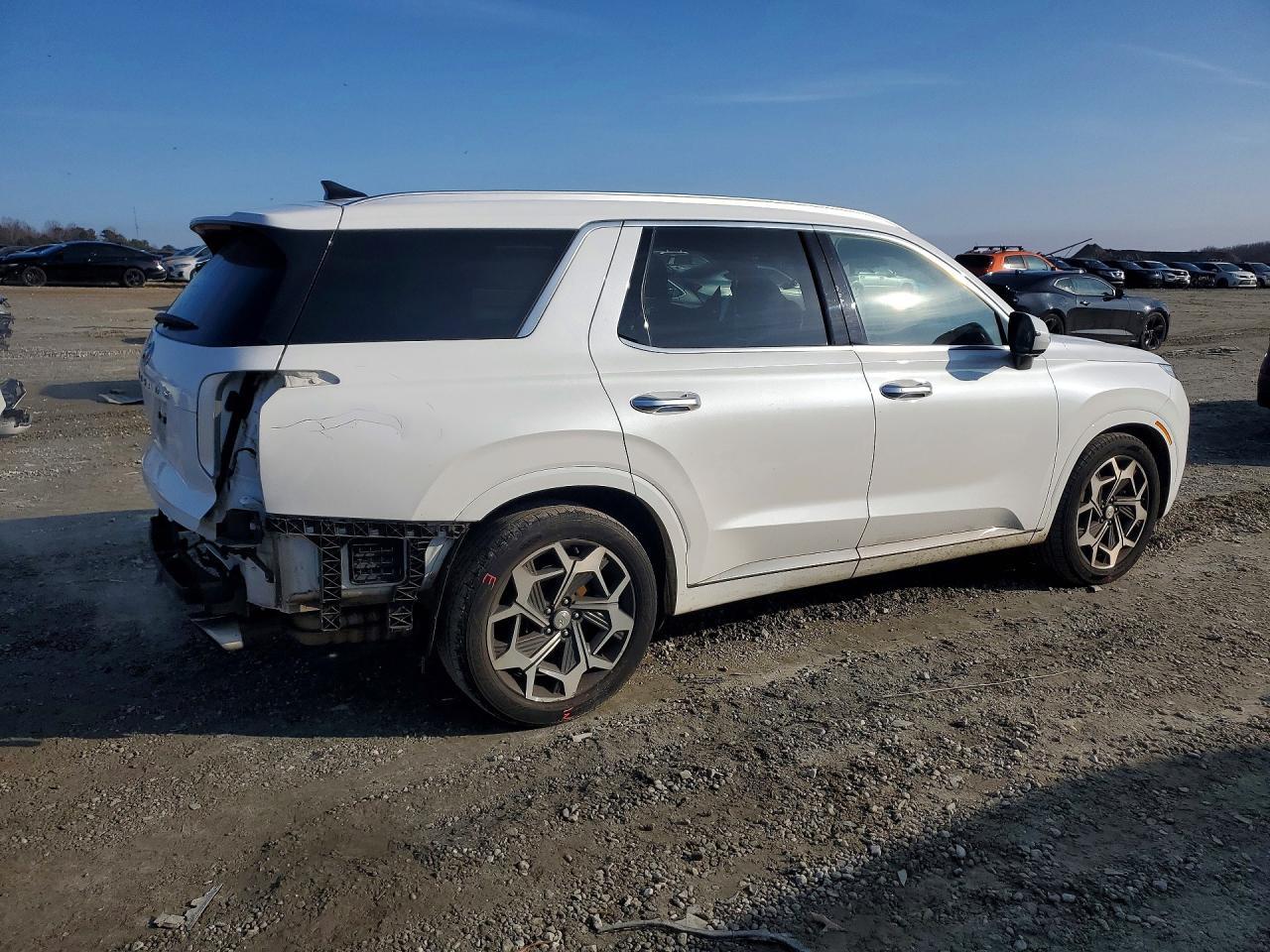 2021 Hyundai Palisade Calligraphy - Фото 3
