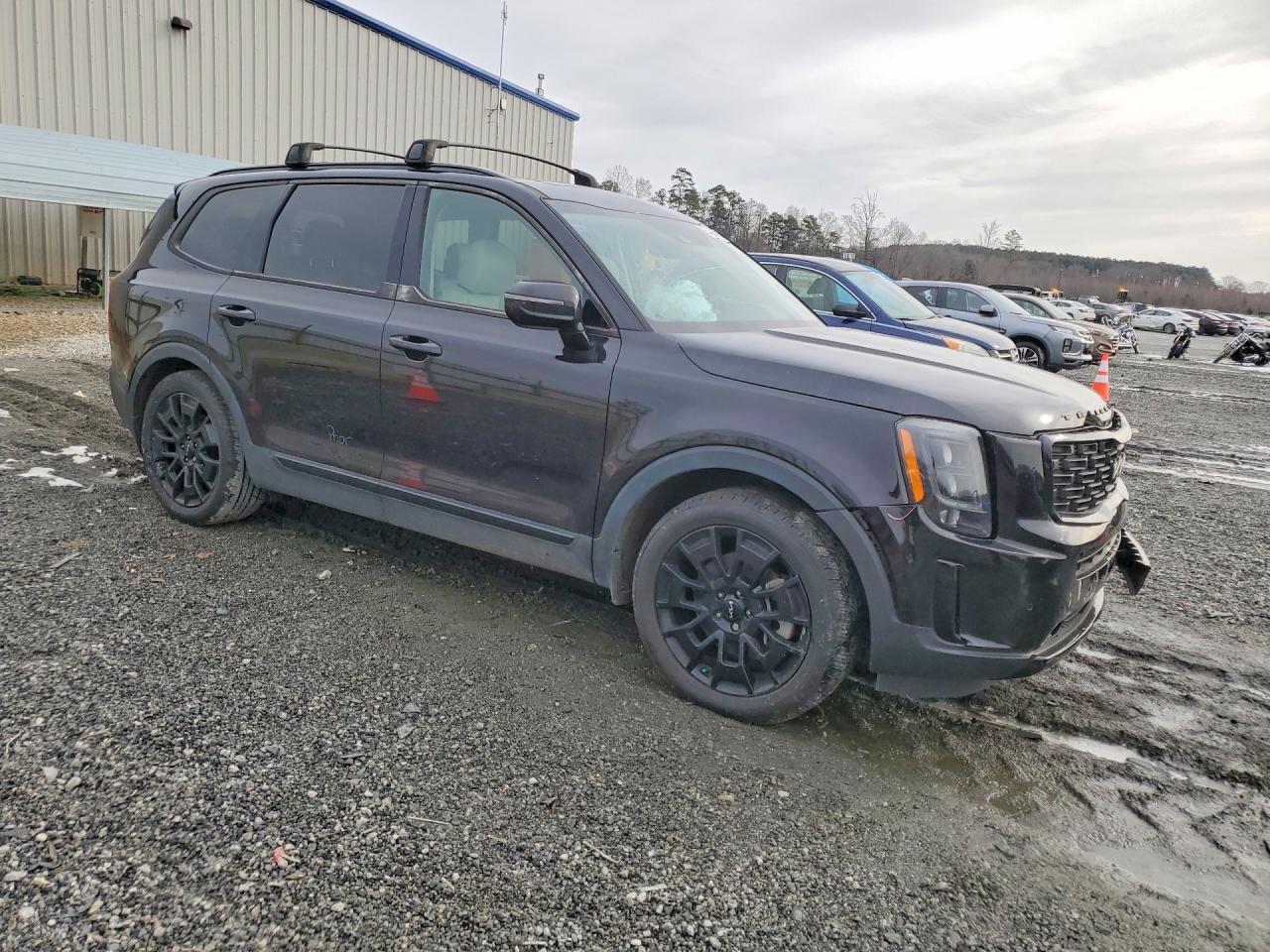 2022 Kia Telluride Sx - Фото 4