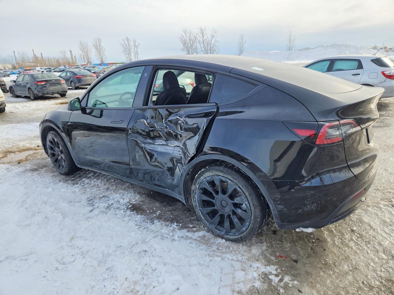 2023 Tesla Model Y - Фото 2