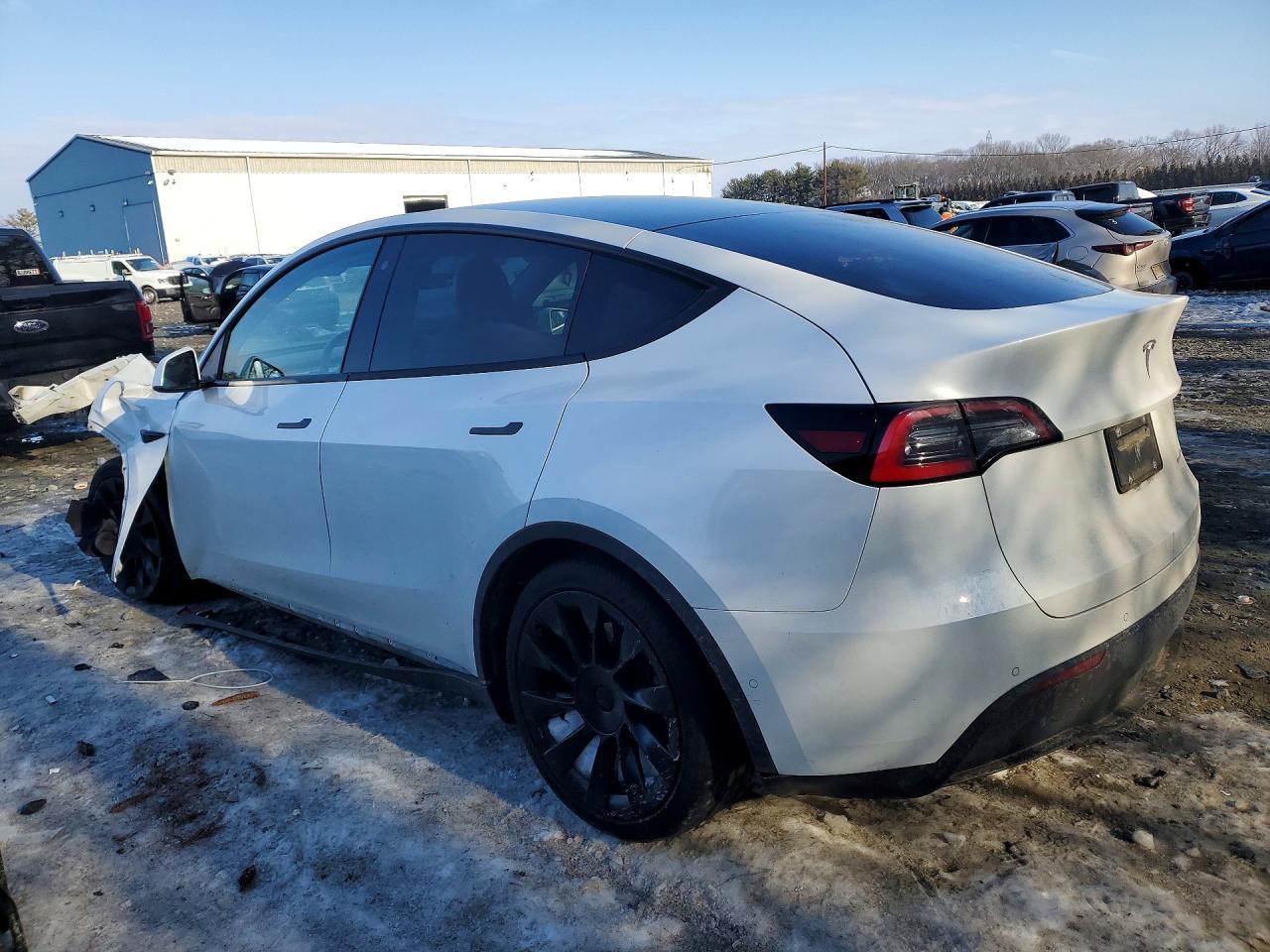 2020 Tesla Model Y - Фото 2