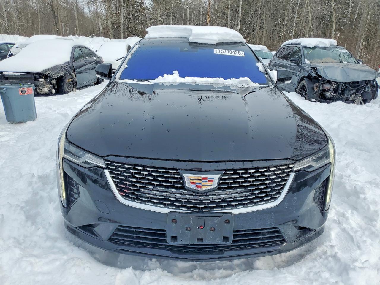 2022 Cadillac Ct4 Luxury - Фото 5