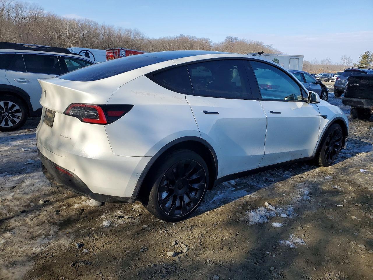 2020 Tesla Model Y - Фото 3