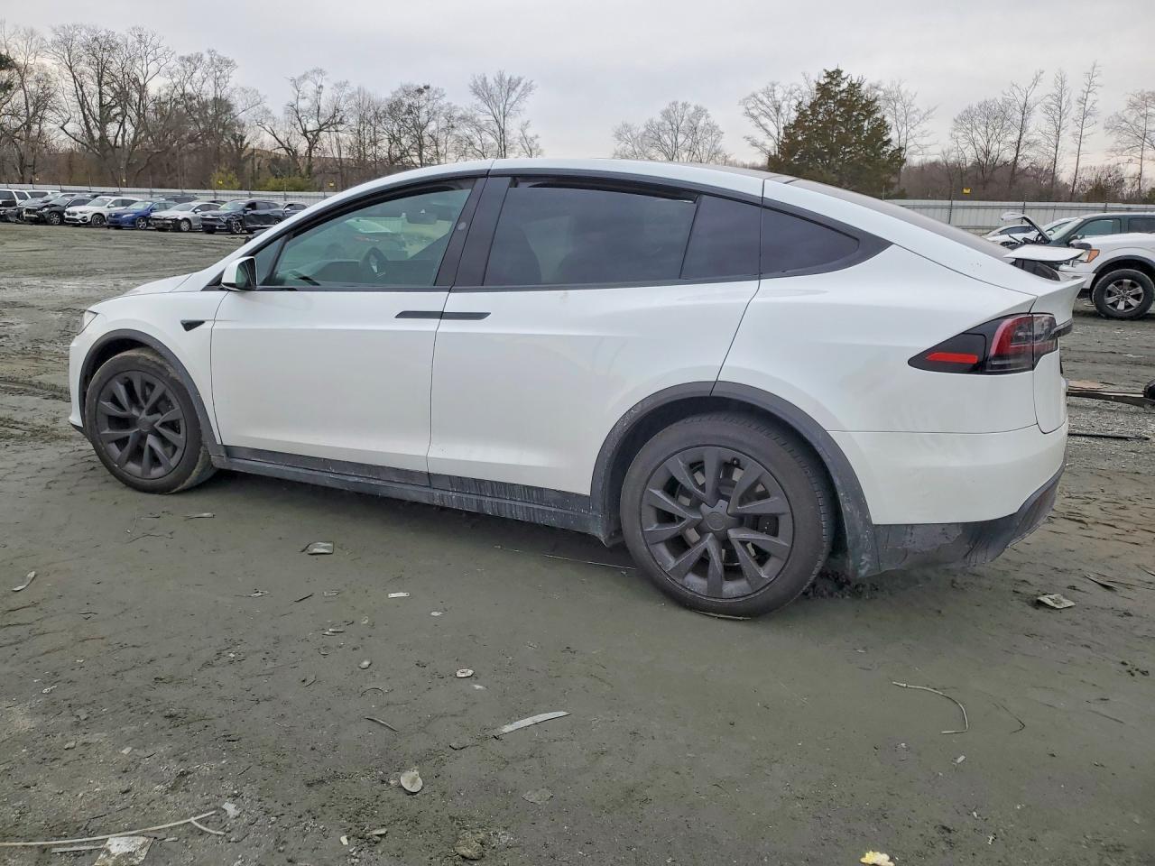 2023 Tesla Model X - Фото 2