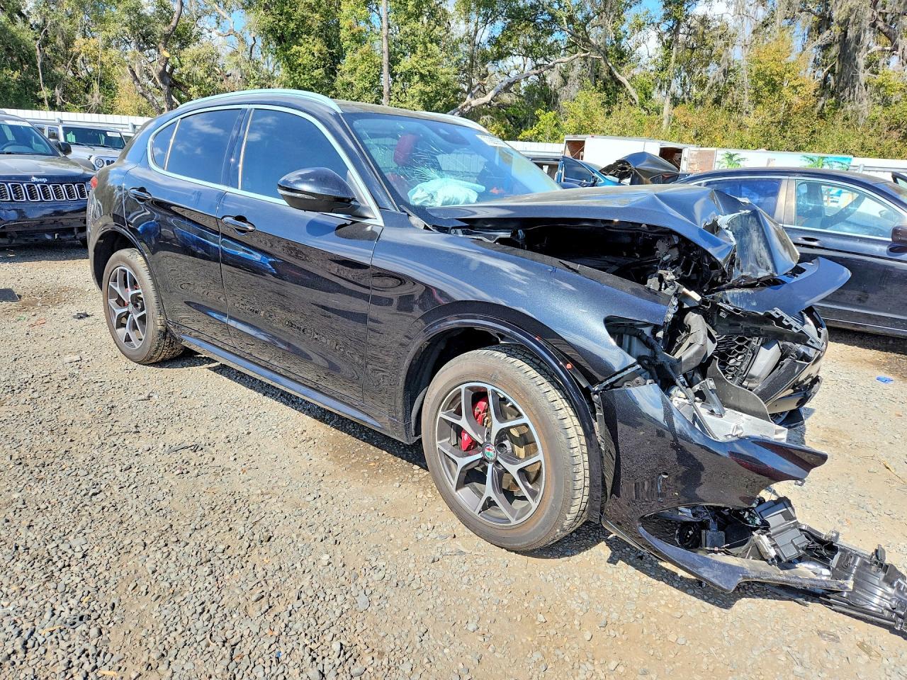 2020 Alfa Romeo Stelvio Ti - Фото 4