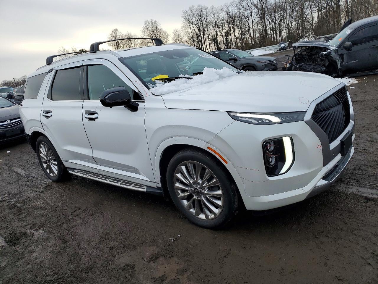 2020 Hyundai Palisade Limited - Фото 4