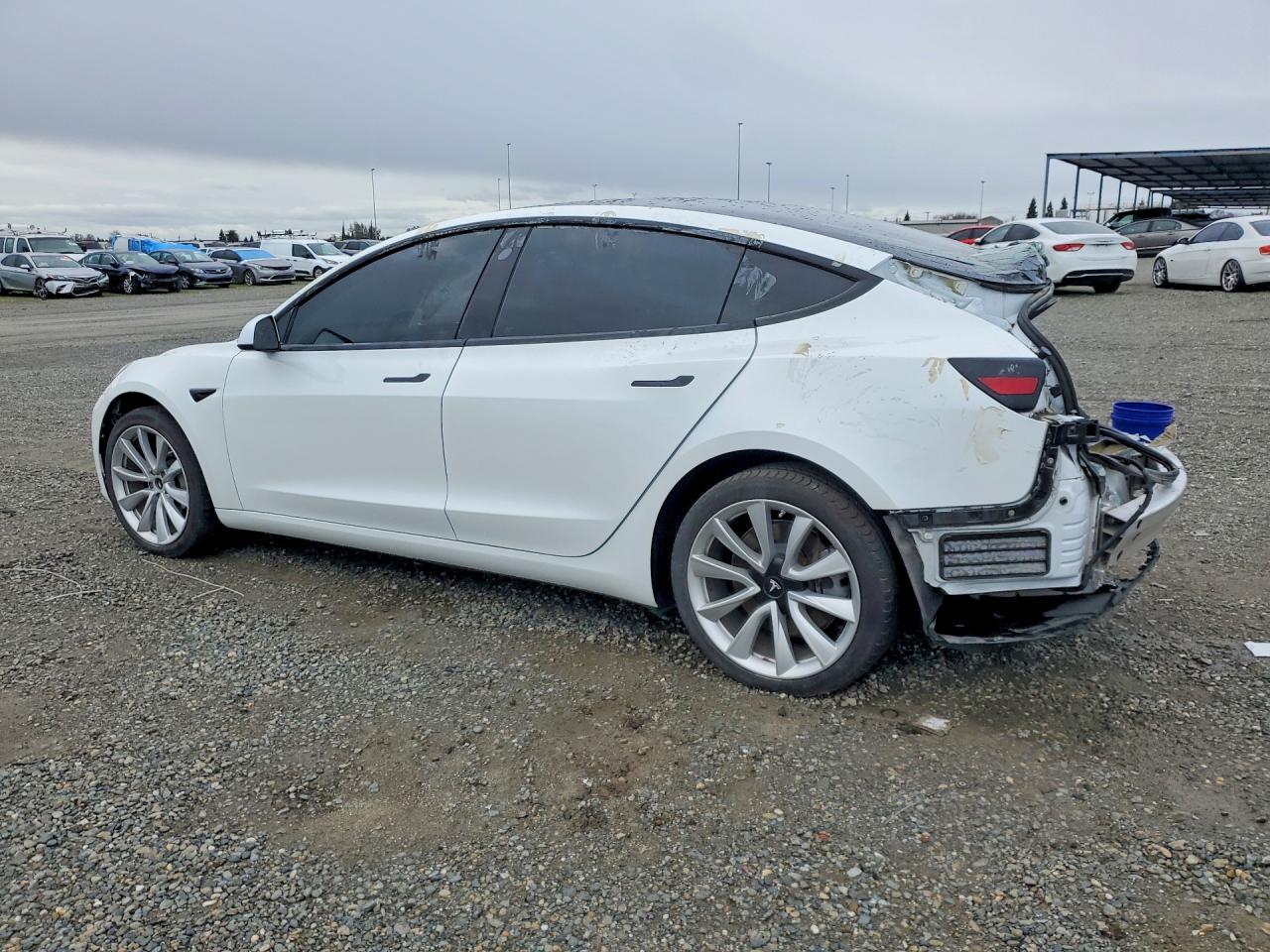 2019 Tesla Model 3 - Фото 2