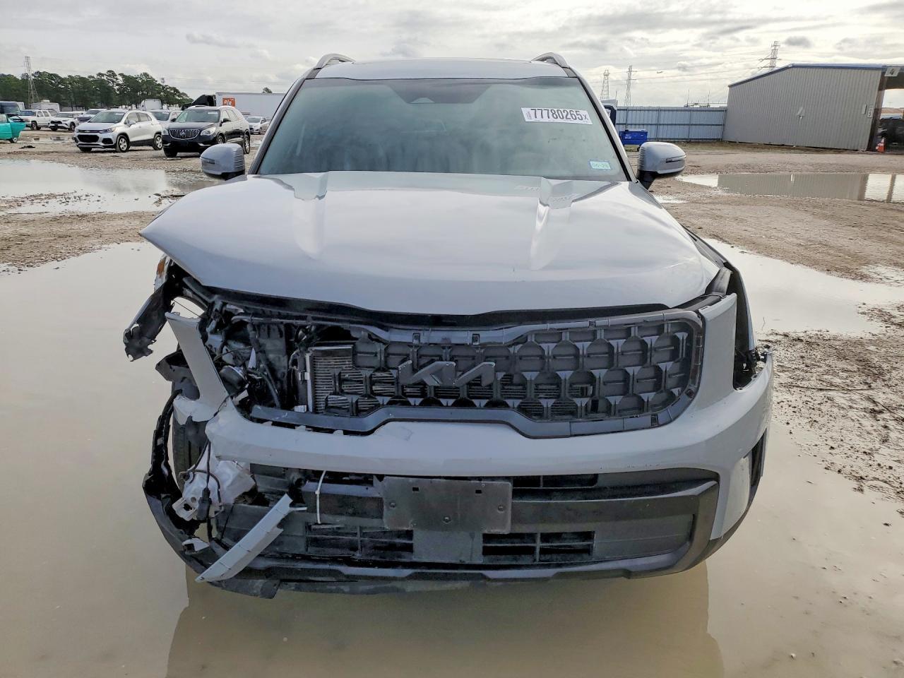 2024 Kia Telluride Ex - Image 5