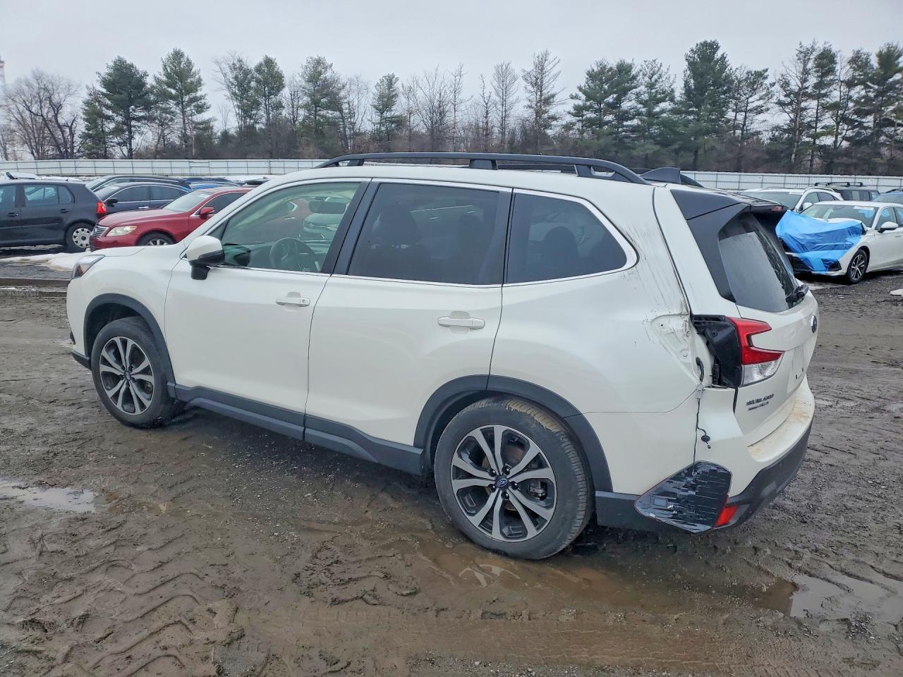 2024 Subaru Forester Limited - Фото 2