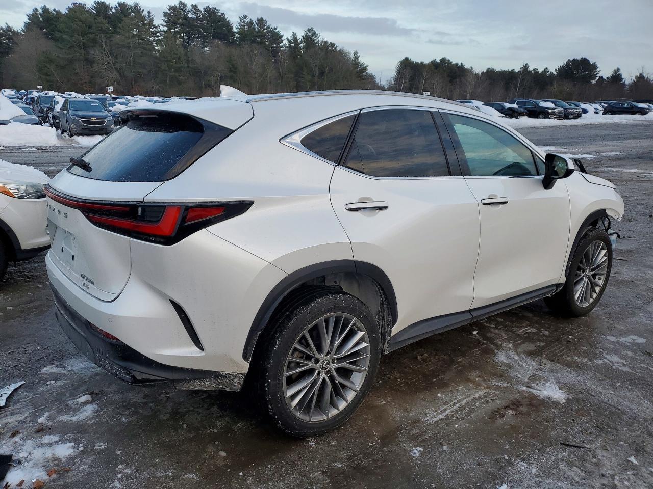2023 Lexus Nx 350H - Фото 3