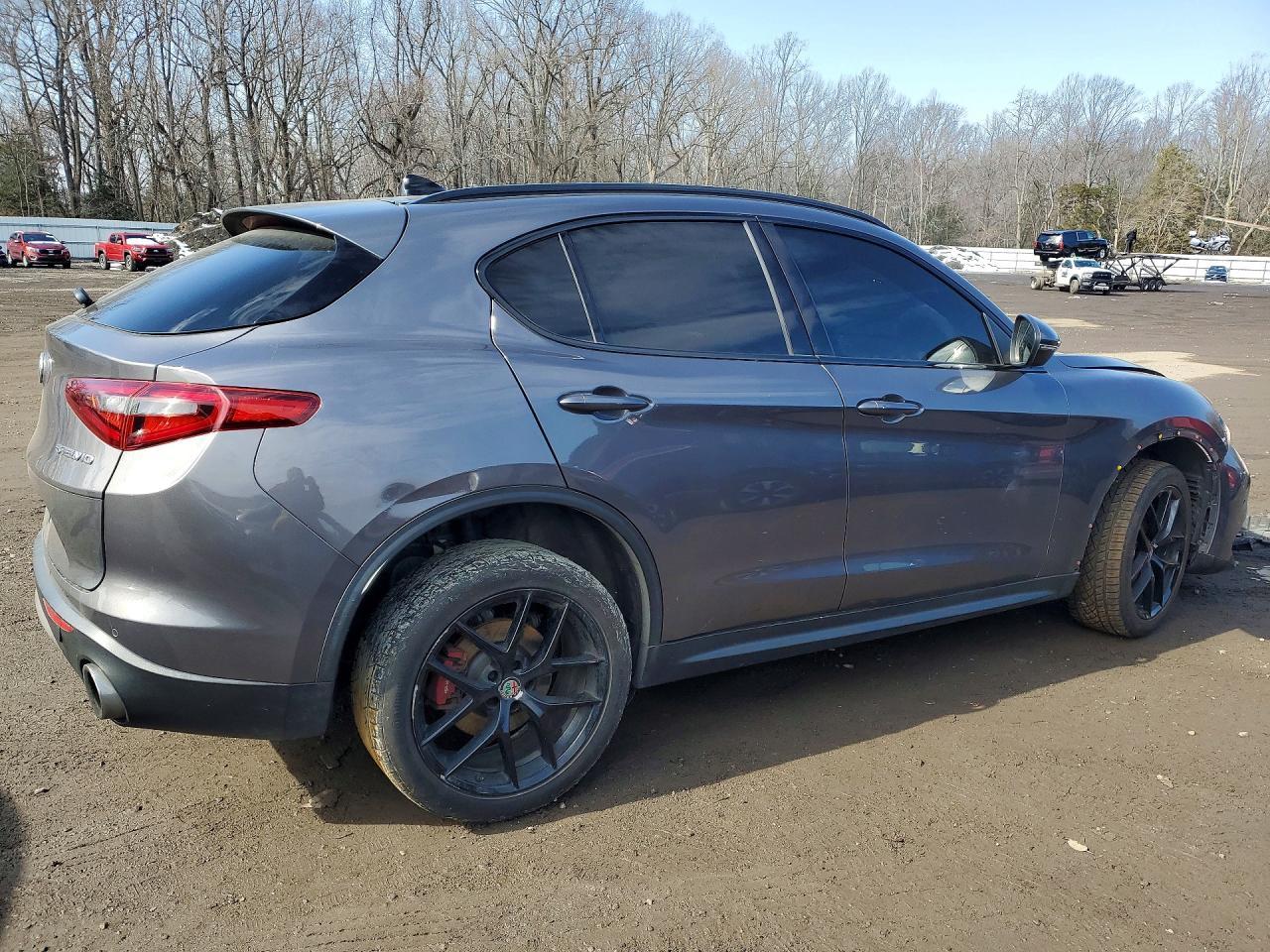 2019 Alfa Romeo Stelvio Ti - Фото 3