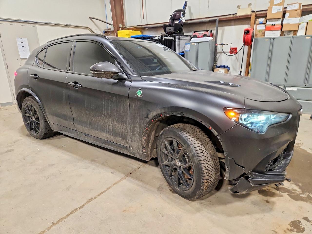 2024 Alfa Romeo Stelvio Quadrifoglio - Фото 4