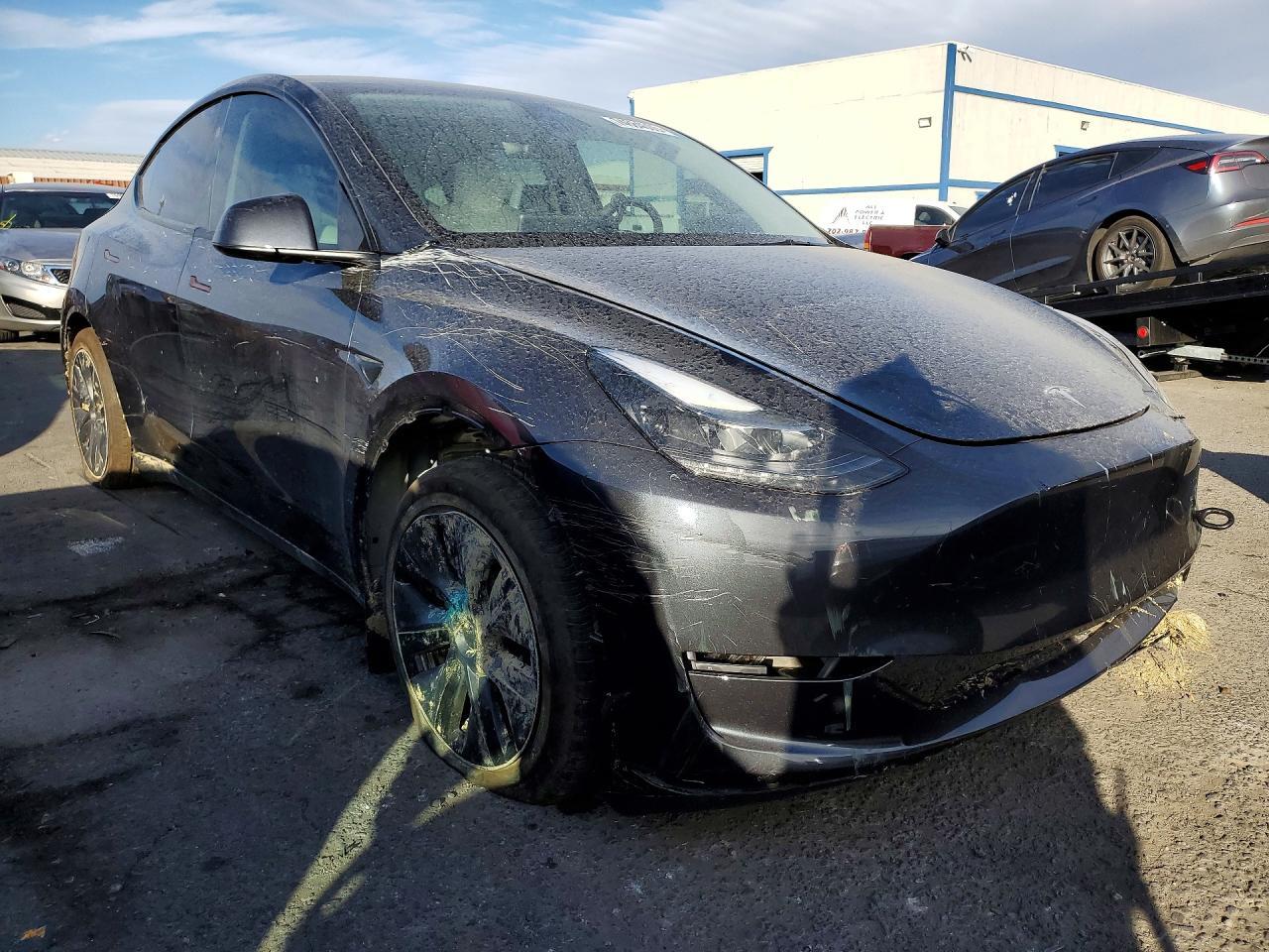 2025 Tesla Model Y - Фото 4