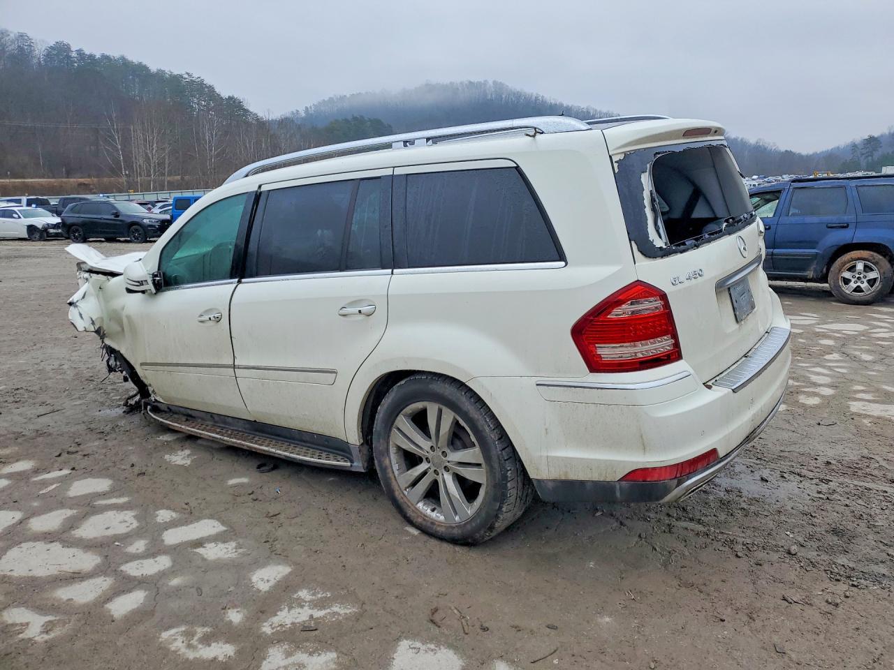 2012 Mercedes-Benz Gl 450 4Matic - Фото 2