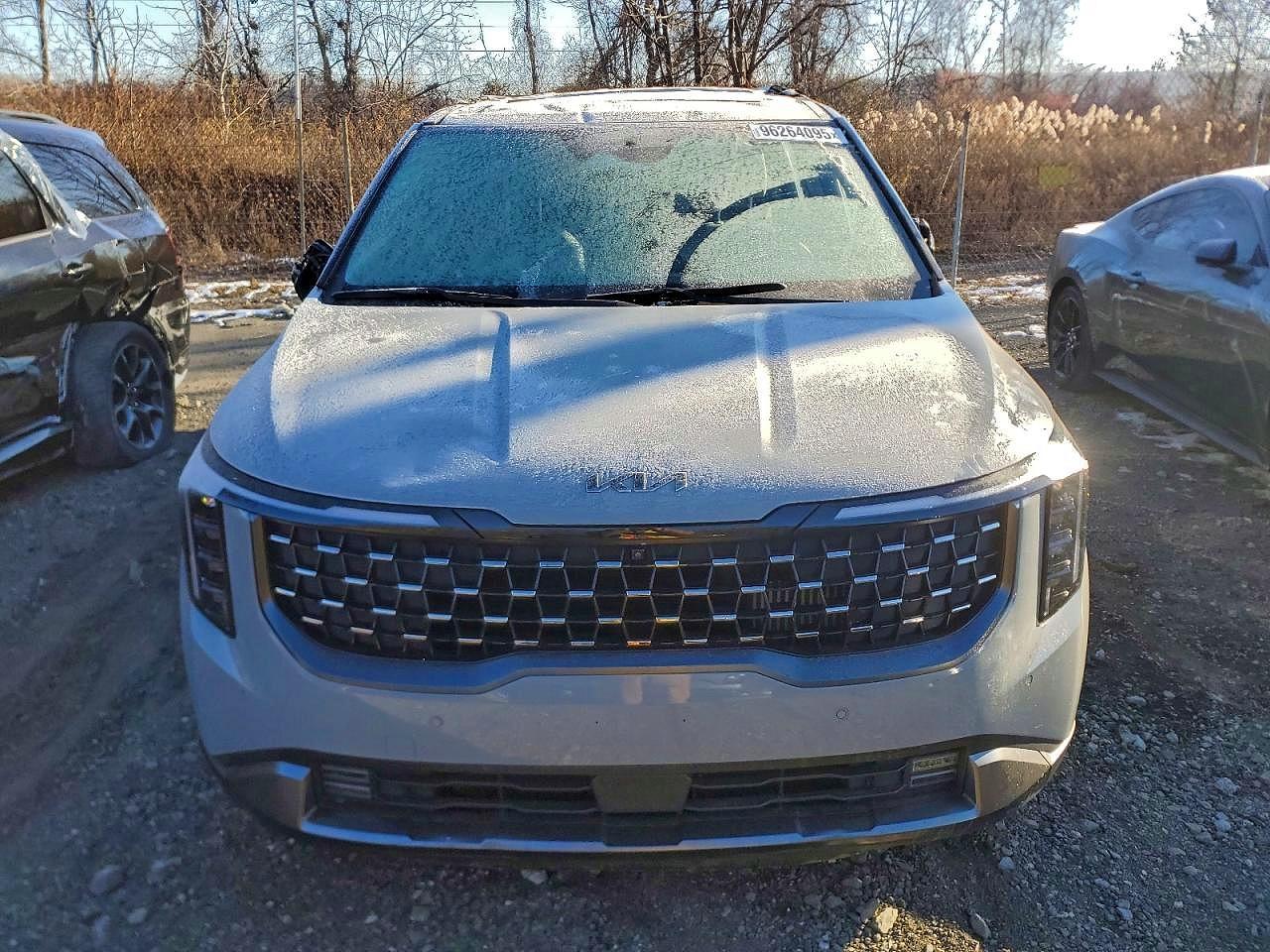 2025 Kia Carnival Sx - Фото 5