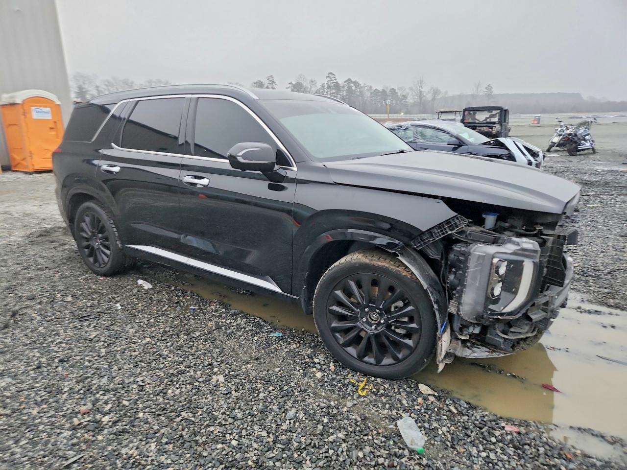 2020 Hyundai Palisade Limited - Фото 4