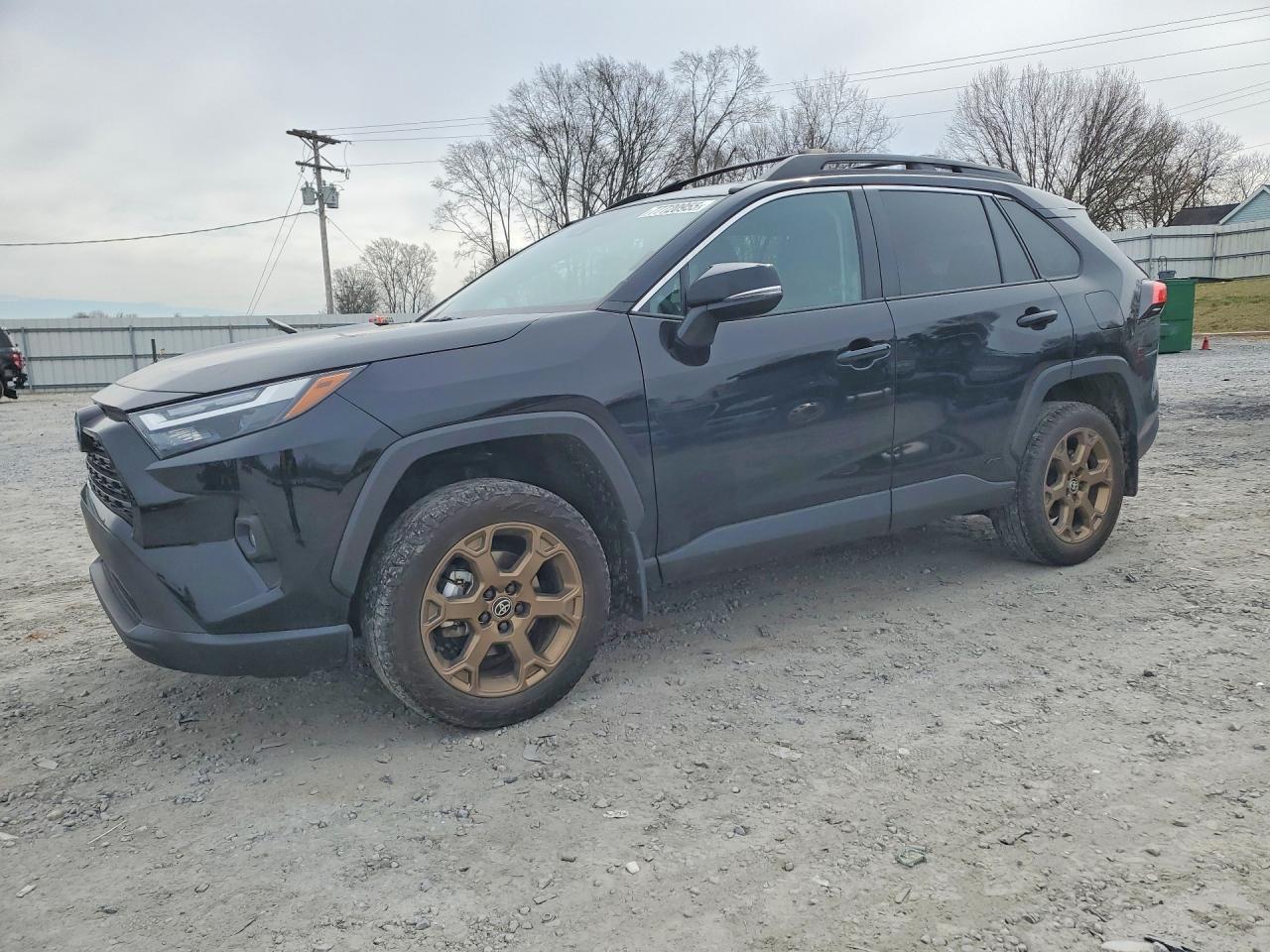 2024 Toyota Rav4 Woodland Edition