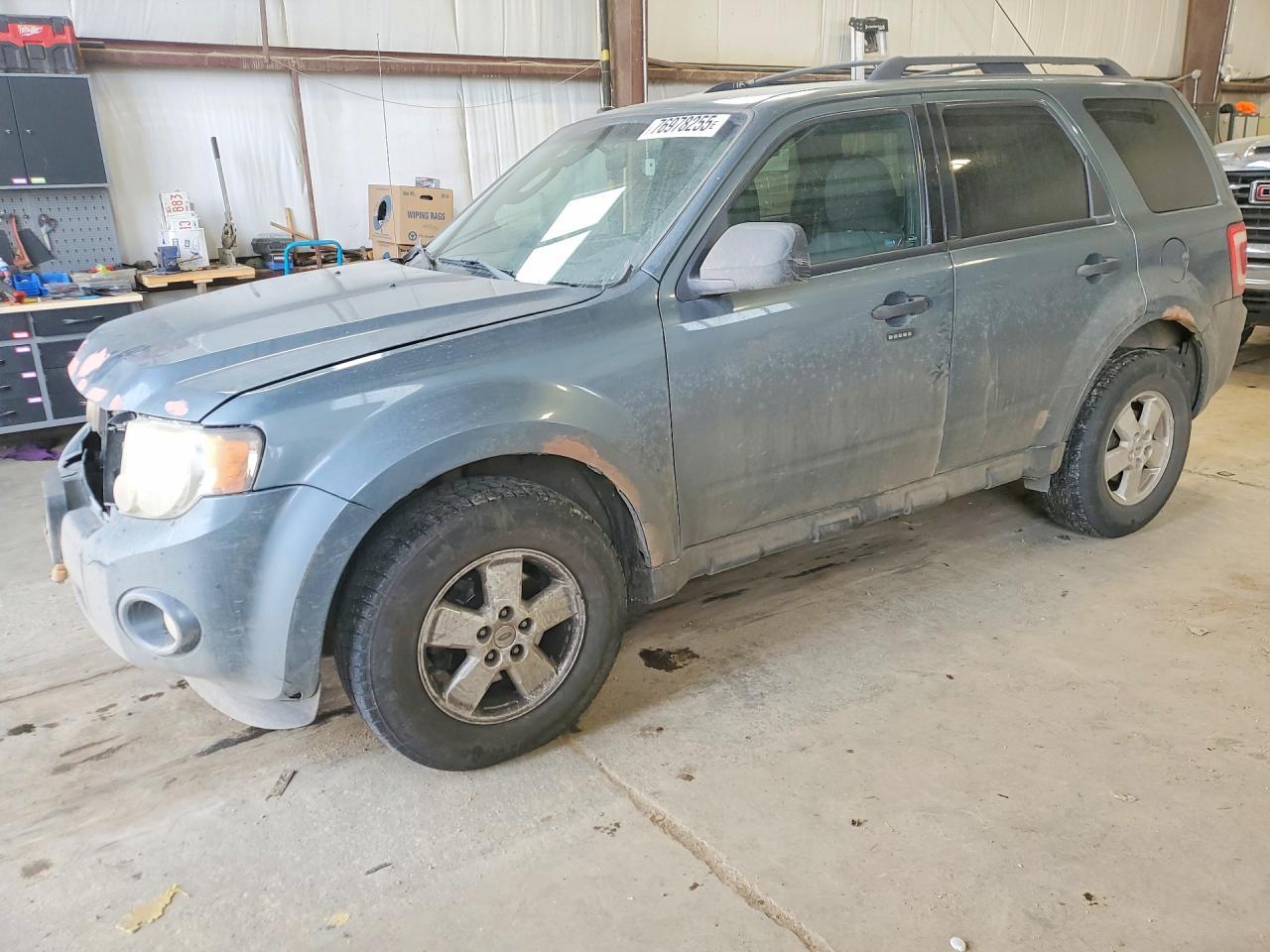 2010 Ford Escape Xlt