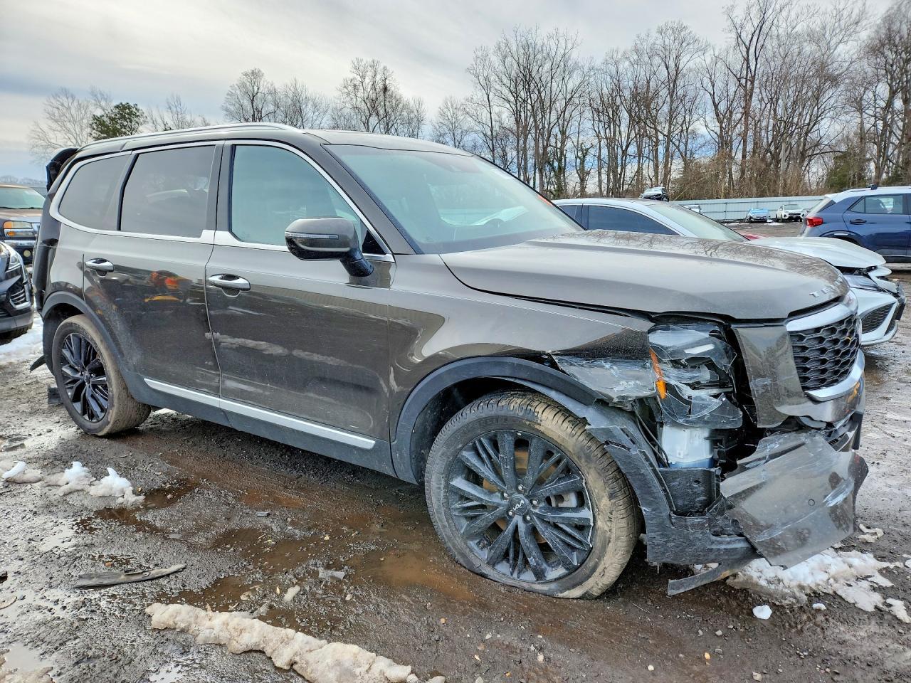 2022 Kia Telluride Sx - Фото 4