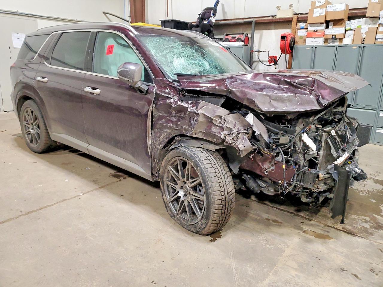 2024 Hyundai Palisade Ultimate Ca - Фото 4