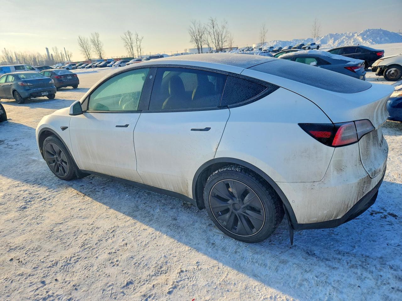 2021 Tesla Model Y - Фото 2