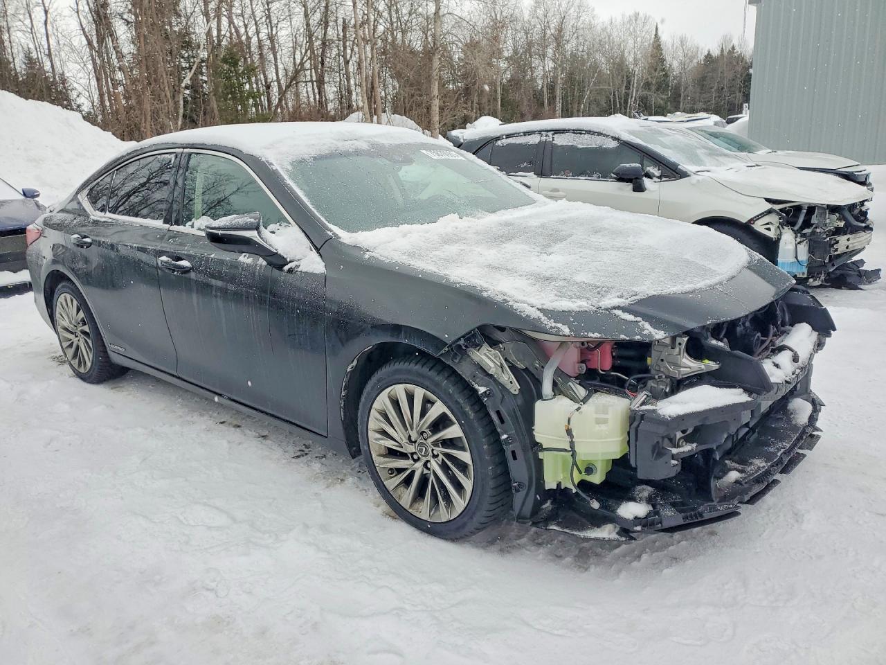 2019 Lexus Es 300H - Фото 4