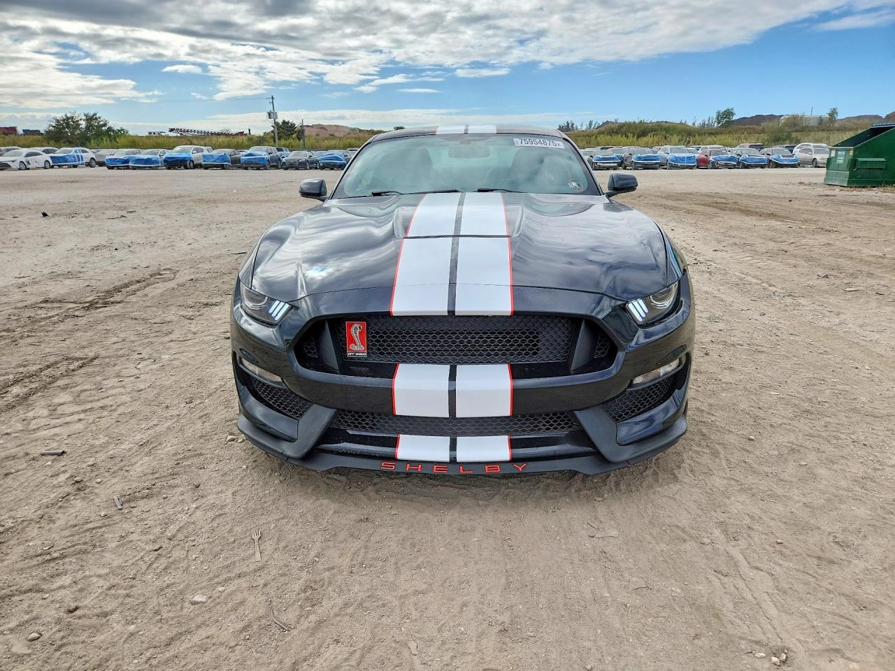 2016 Ford Mustang Shelby Gt350 - Фото 5