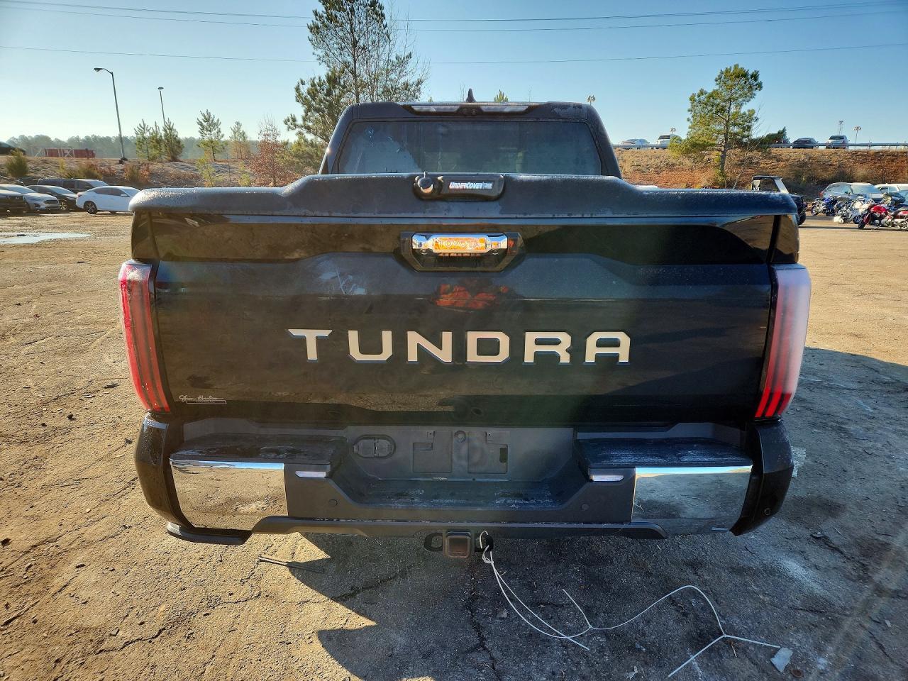 2022 Toyota Tundra Crewmax Platinum - Фото 6