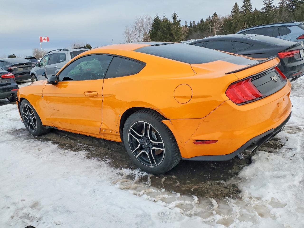 2018 Ford Mustang - Фото 2