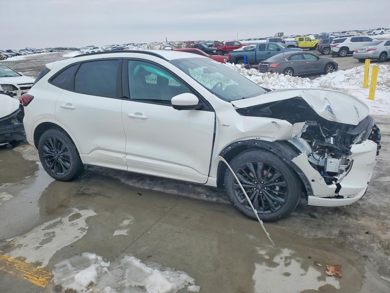 2023 Ford Escape St Line Elite - Фото 4