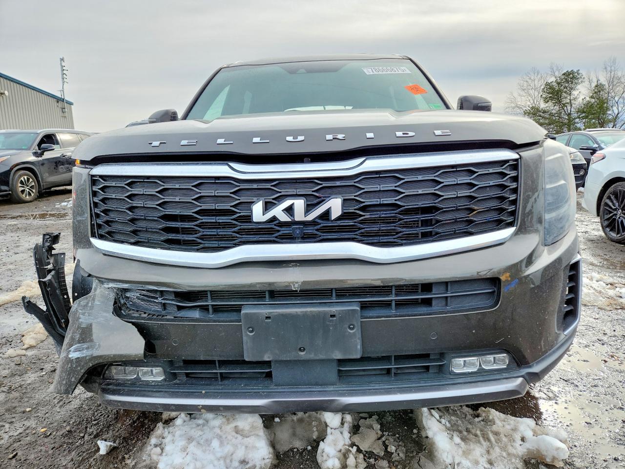 2022 Kia Telluride Sx - Фото 5