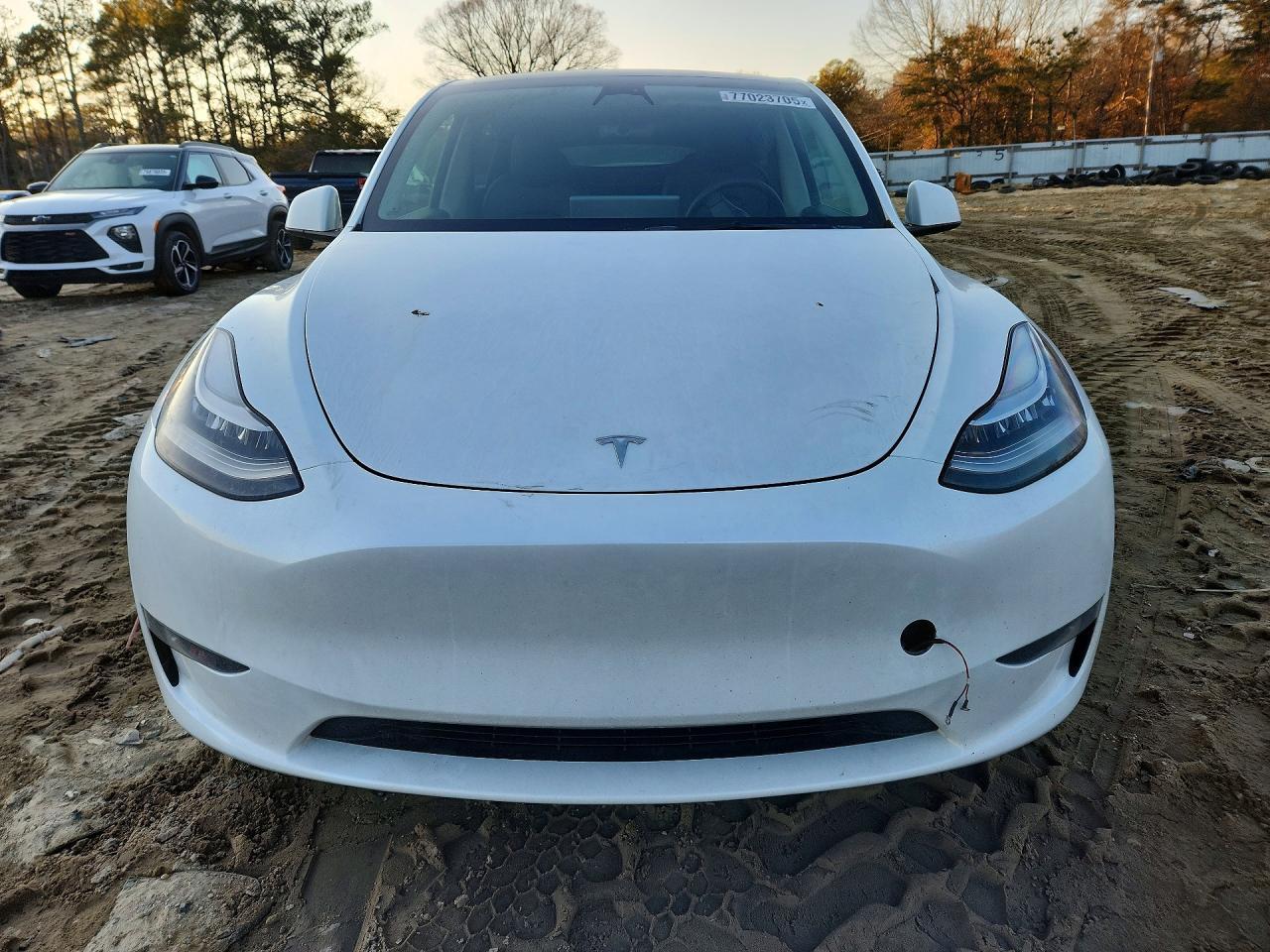 2023 Tesla Model Y - Фото 5