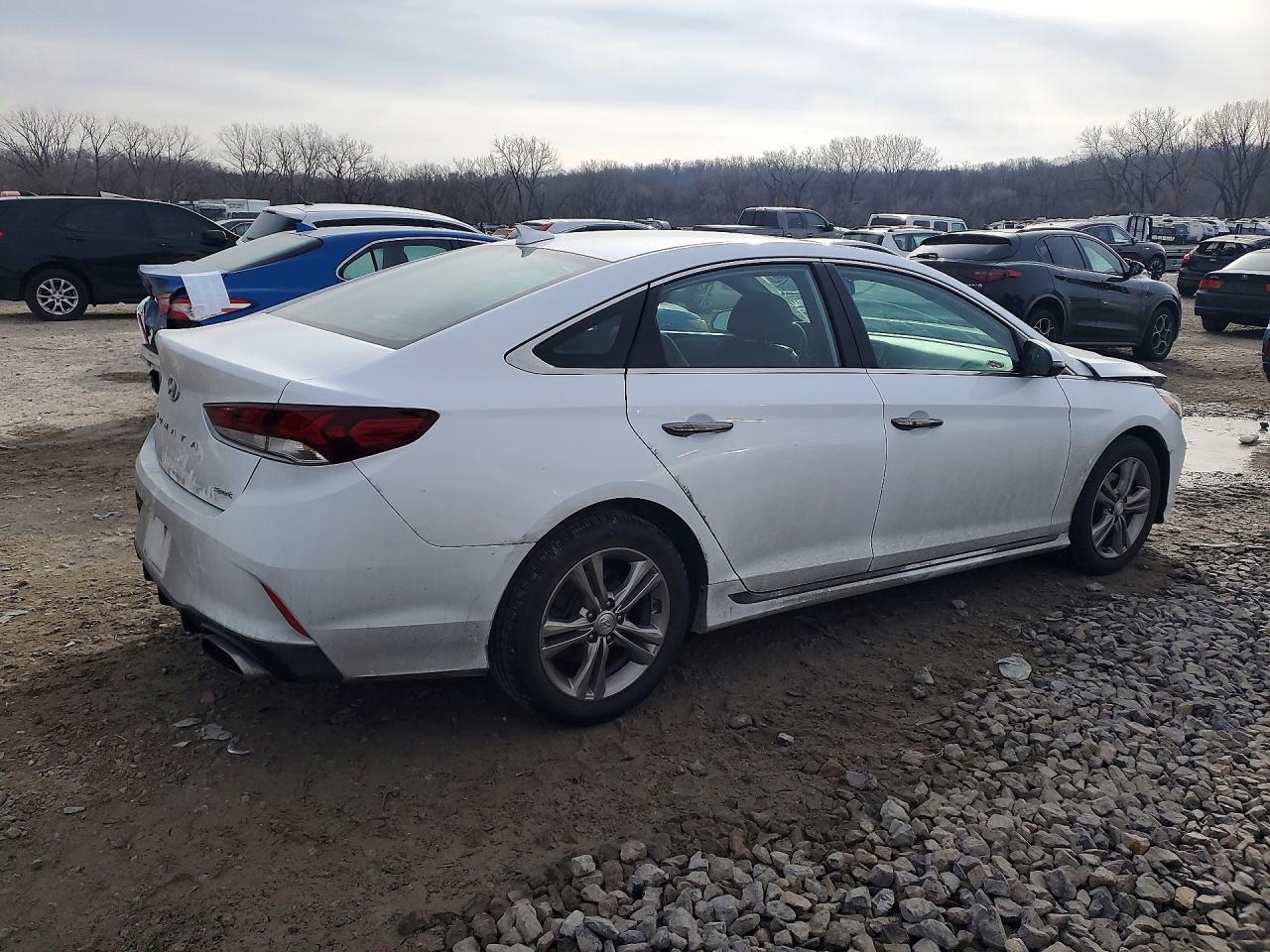 2019 Hyundai Sonata Limited - Фото 3