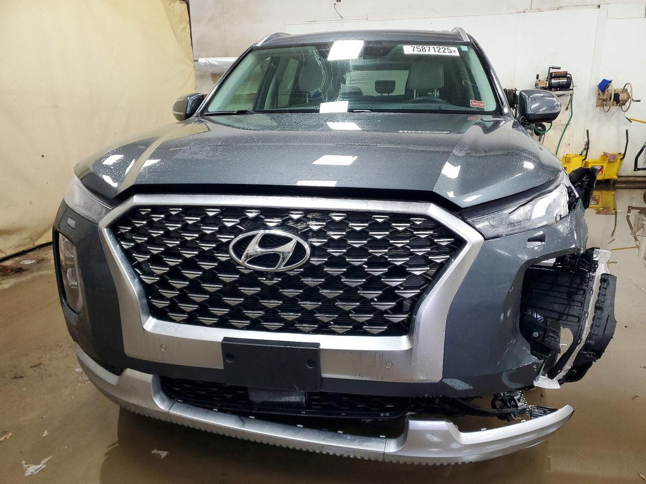 2021 Hyundai Palisade Limited - Фото 5
