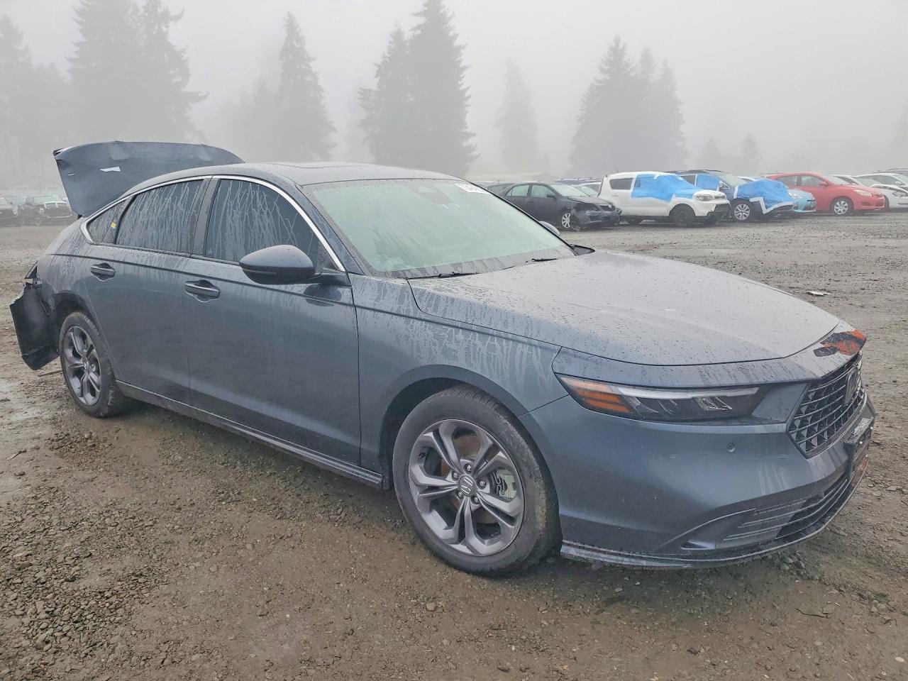 2025 Honda Accord Hybrid Exl - Image 4
