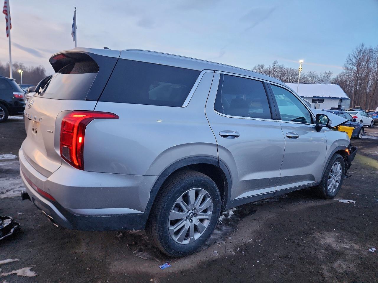 2025 Hyundai Palisade Sel - Фото 3