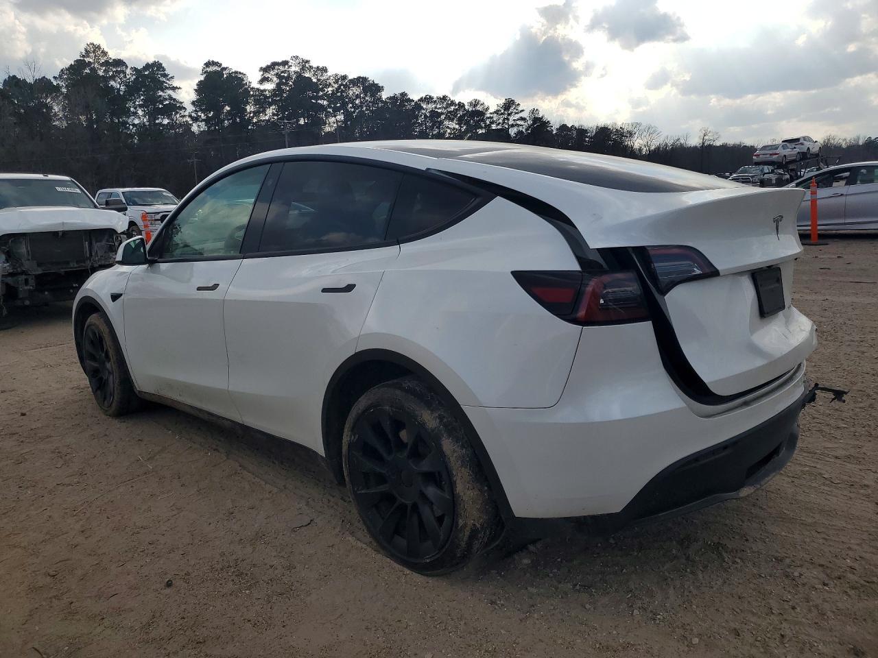2023 Tesla Model Y - Фото 2