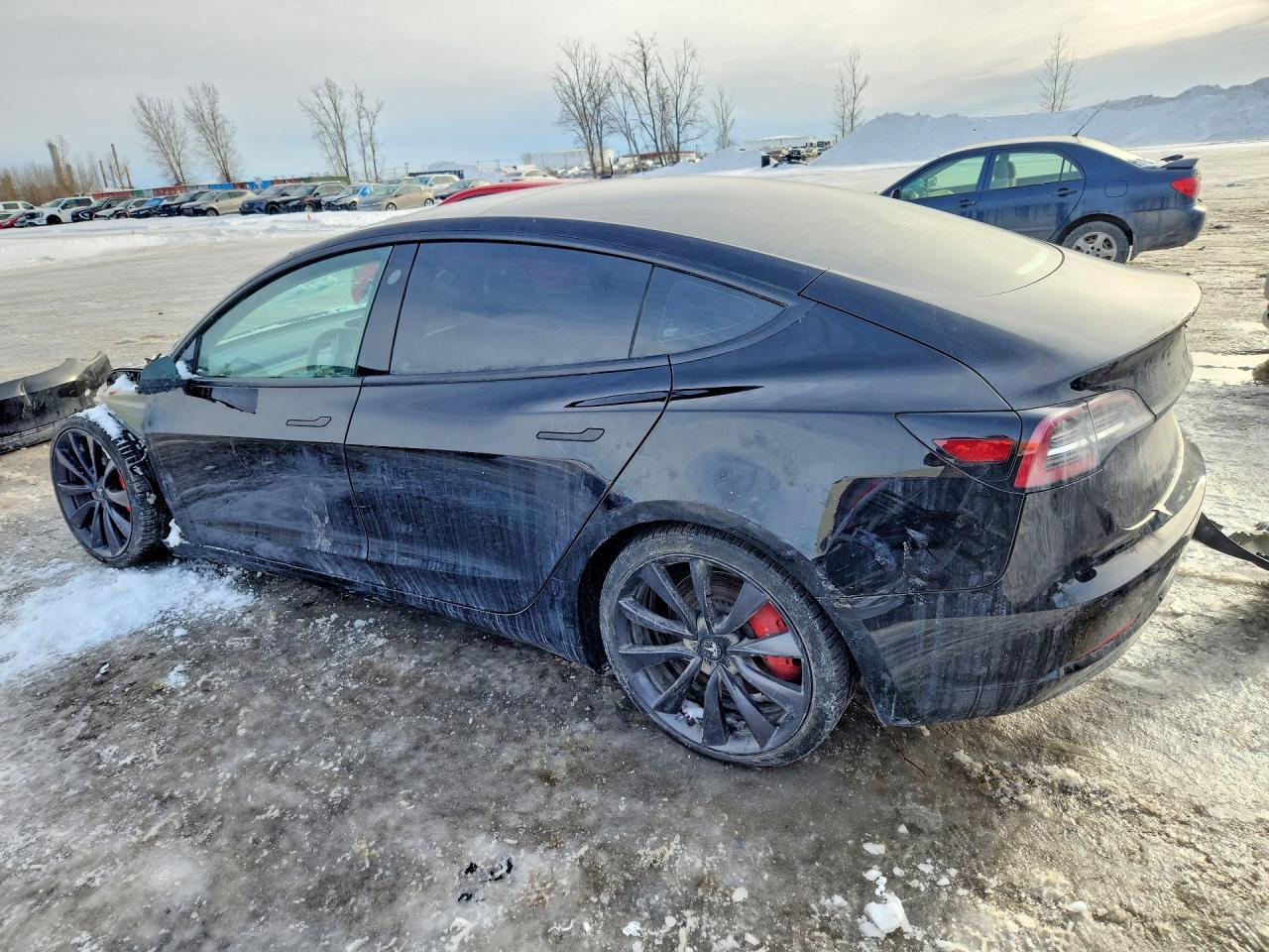 2020 Tesla Model 3 - Фото 2