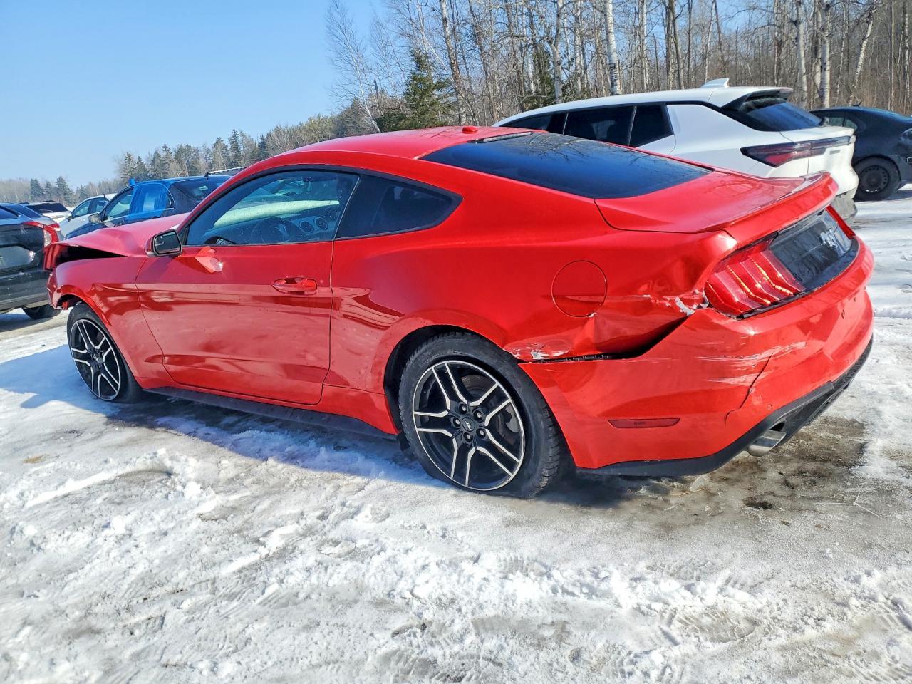 2019 Ford Mustang - Image 2