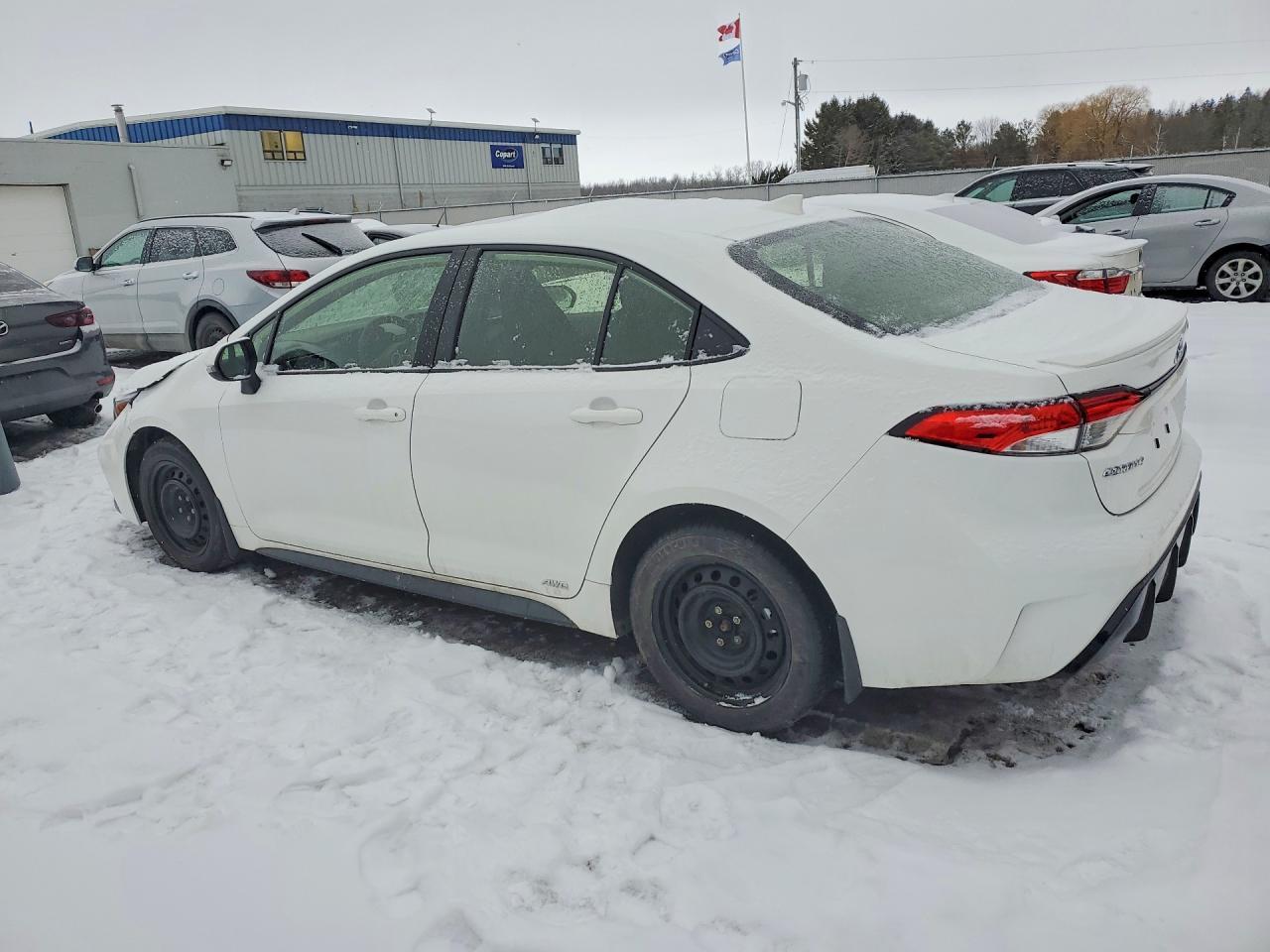 2026 Toyota Corolla Le - Image 2