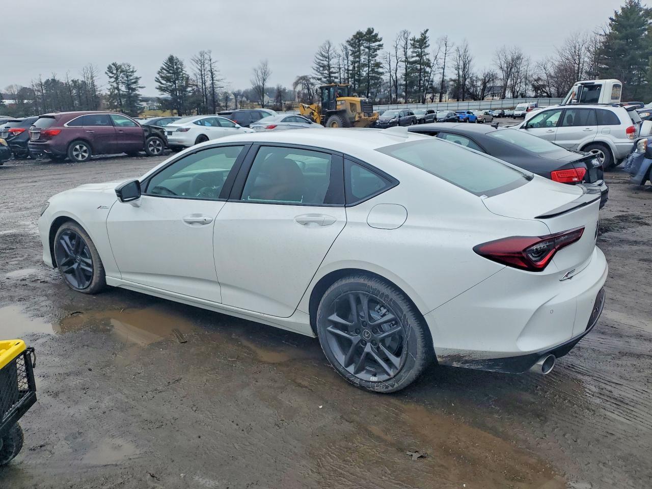 2025 Acura Tlx A-Spec - Фото 2