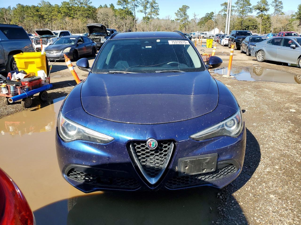 2018 Alfa Romeo Stelvio Sport - Фото 5