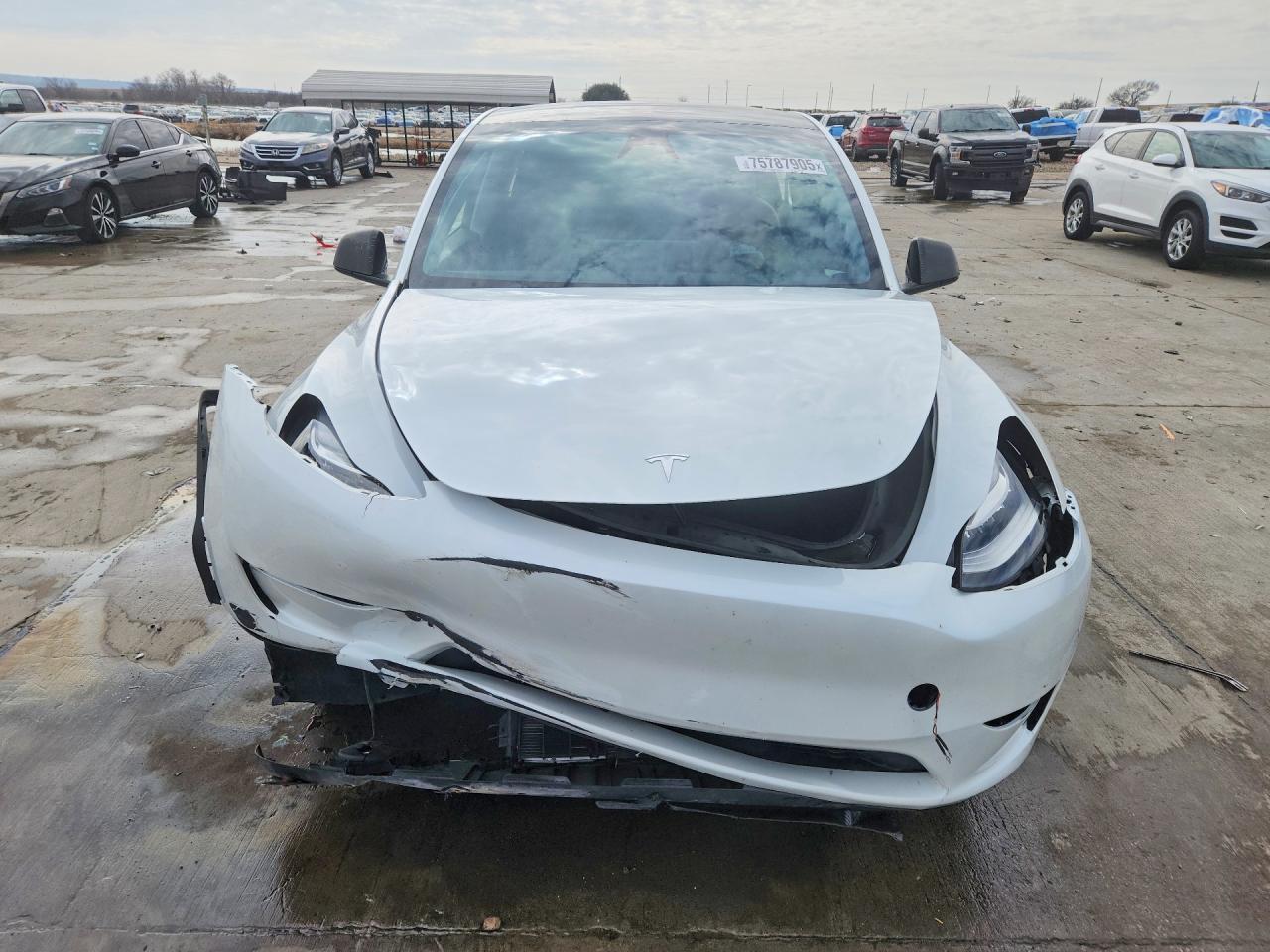 2023 Tesla Model Y - Фото 5