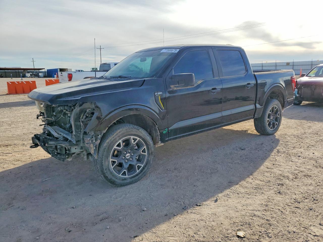 2024 Ford F150 Stx