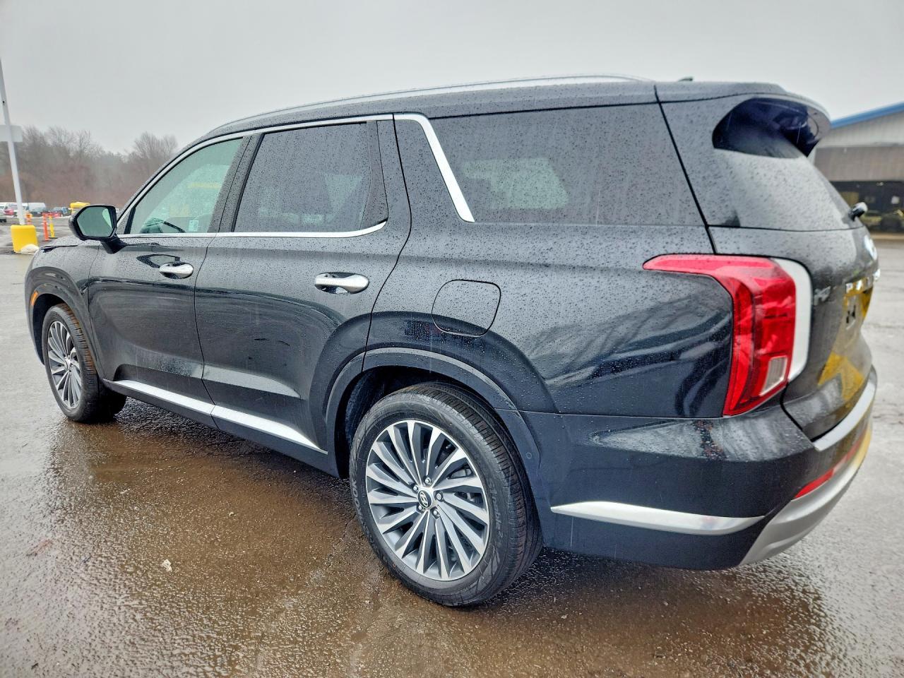 2024 Hyundai Palisade Calligraphy - Фото 2