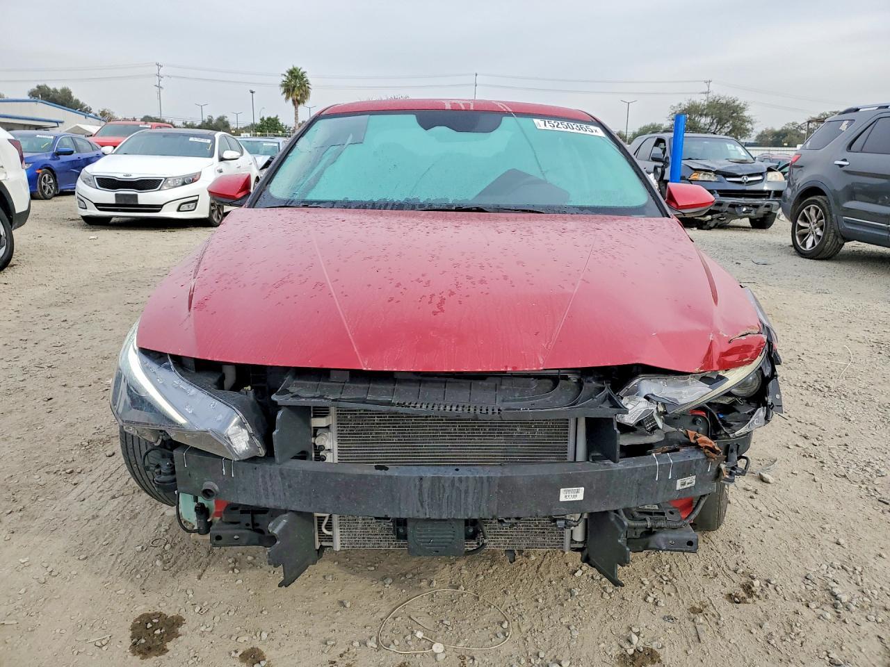2022 Hyundai Elantra Hybrid Blue - Фото 5
