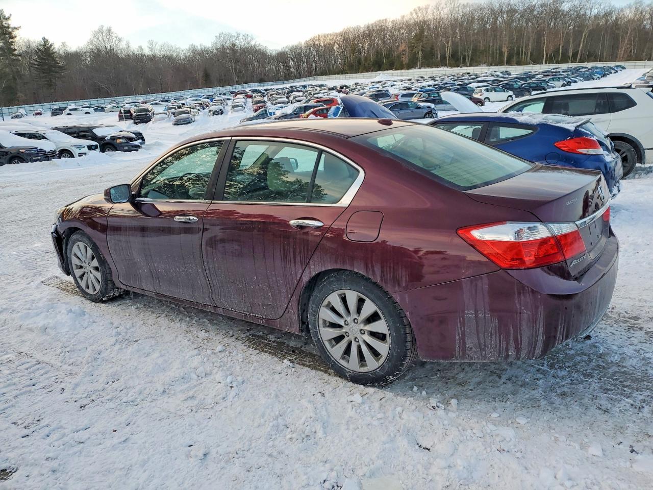 2014 Honda Accord Exl - Фото 2